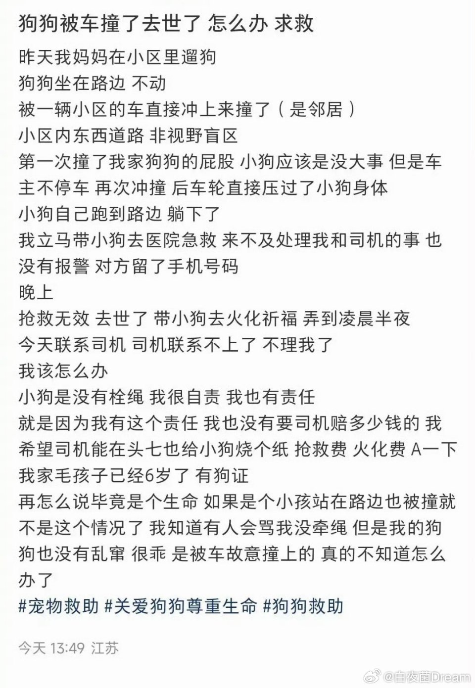 狗被车撞了，没有拴绳