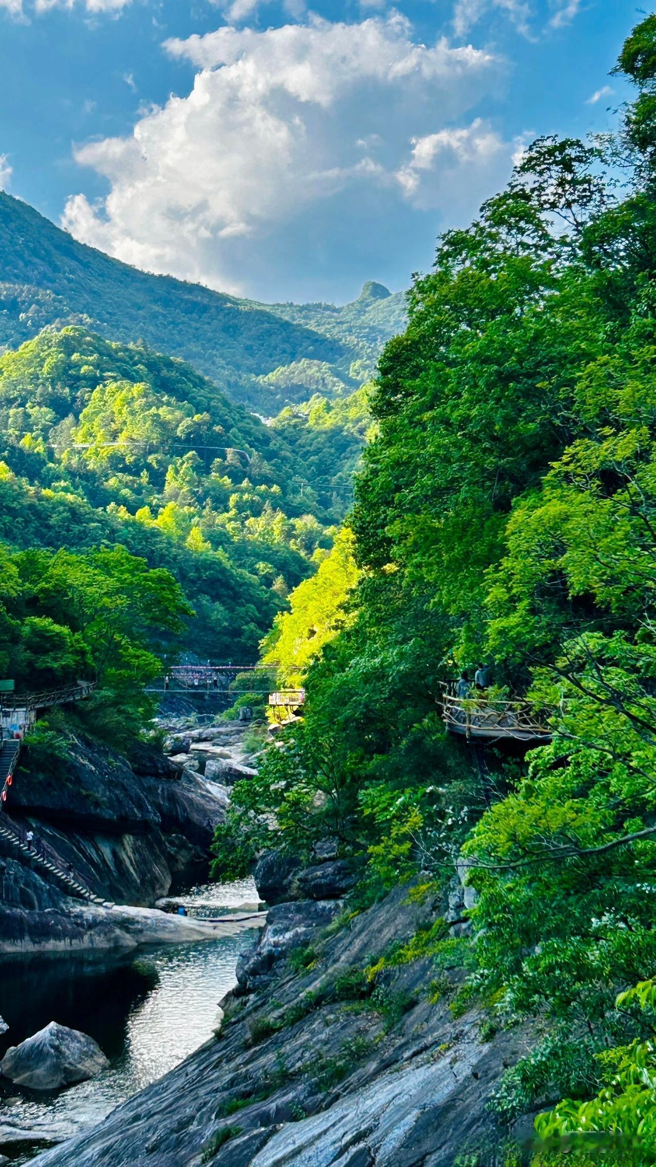 人少景美华东纯绿仙境，六安燕子河峡谷，唯一特别提醒小心久留醉氧的国家级景区走进