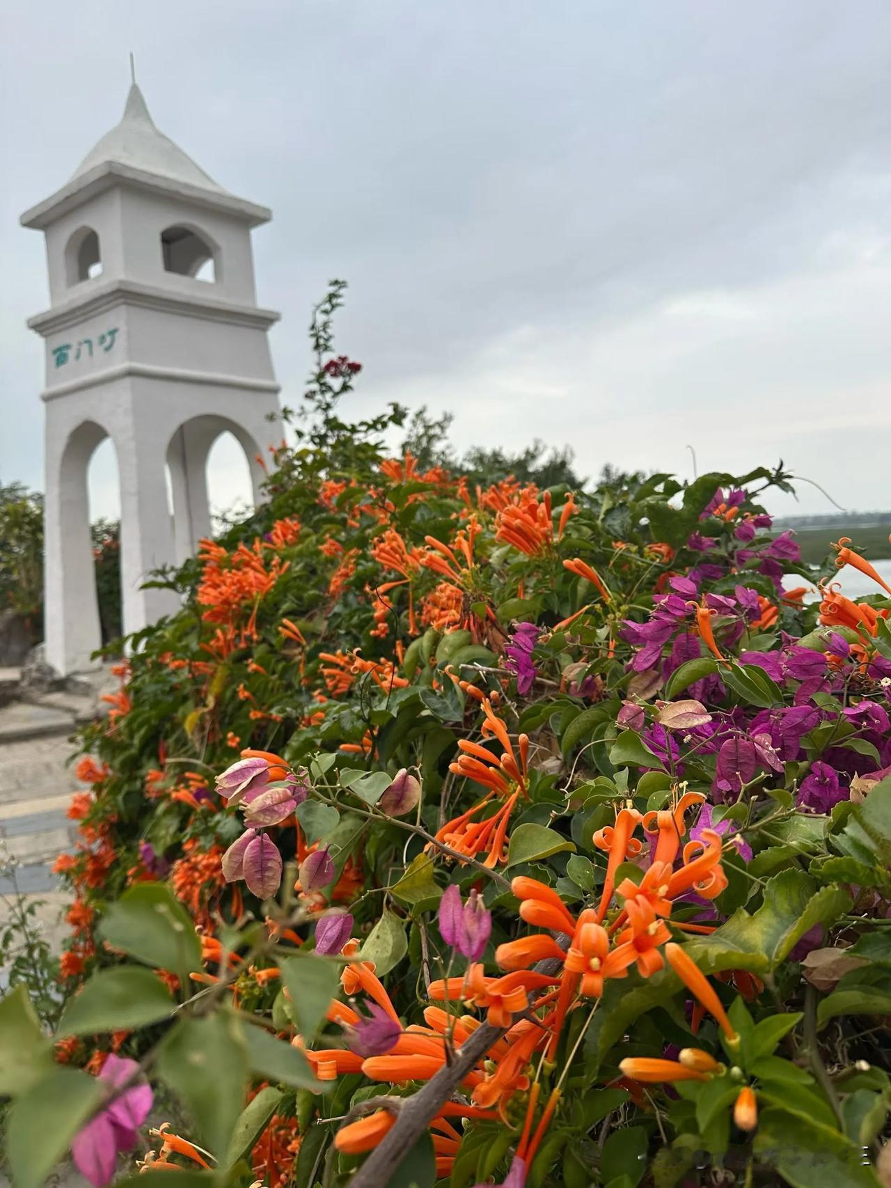 什么才是最好的旅行？不是去多远的地方也不是住最贵的酒店更不是打卡了多少网红