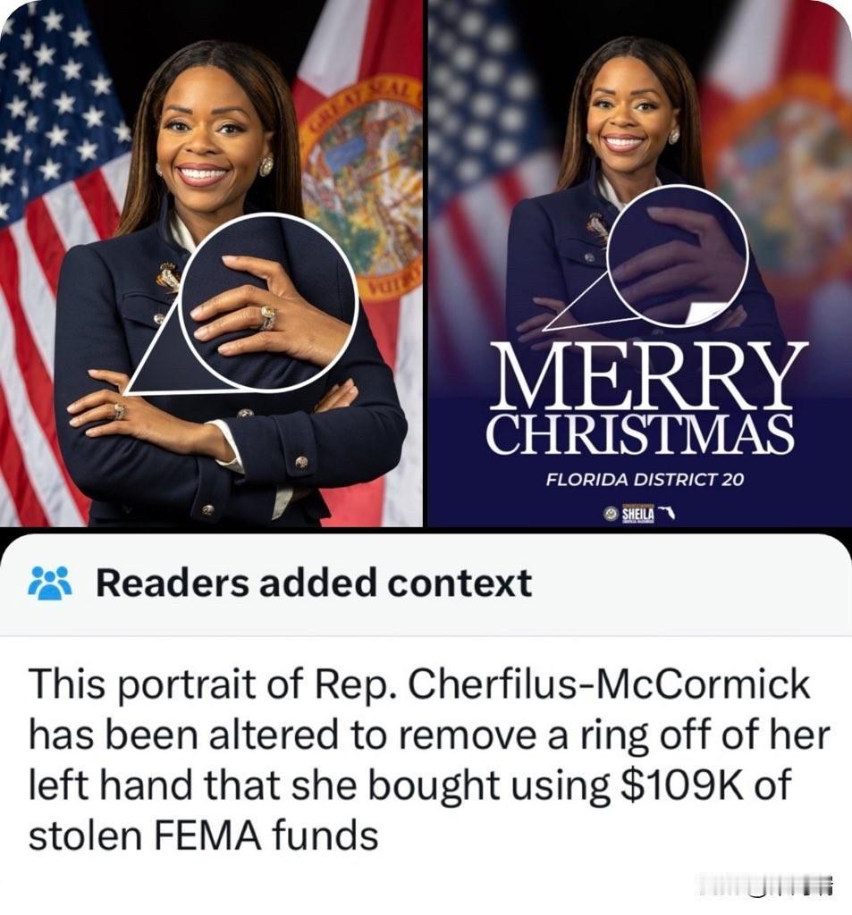 突发新闻——民主党众议员希拉·切尔菲勒斯-麦科米克被发现用她从联邦紧急事务管理署