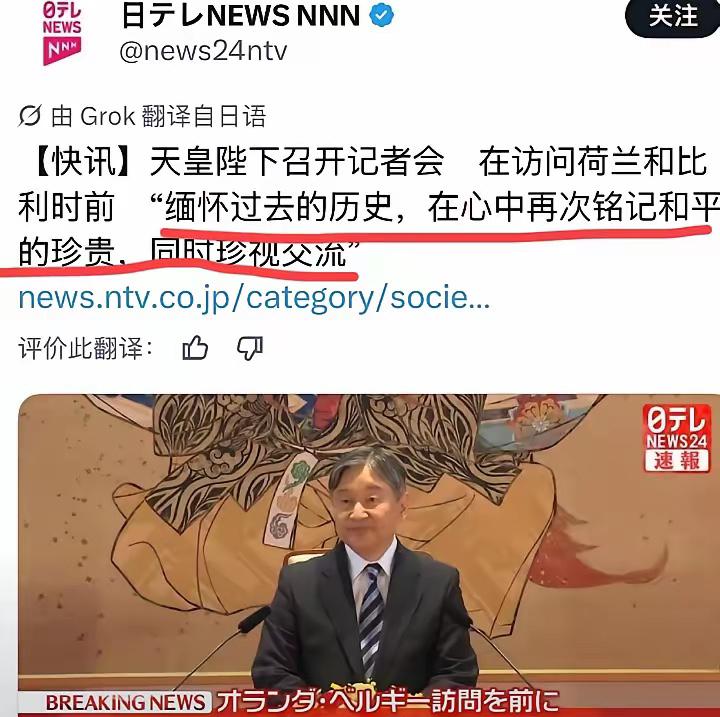 日本天皇访问荷兰，针对二战历史，发表了一番感言，就三个词来回倒：缅怀一下、珍