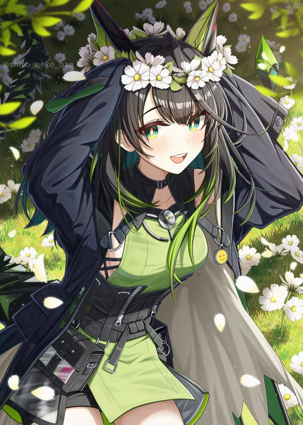 动漫x:shiro_neko_ban