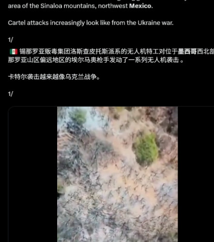 乌克兰情报部门一查傻眼了，乌军砸重金培训的拉美雇佣兵，刚学成，转眼就跑路，回国给