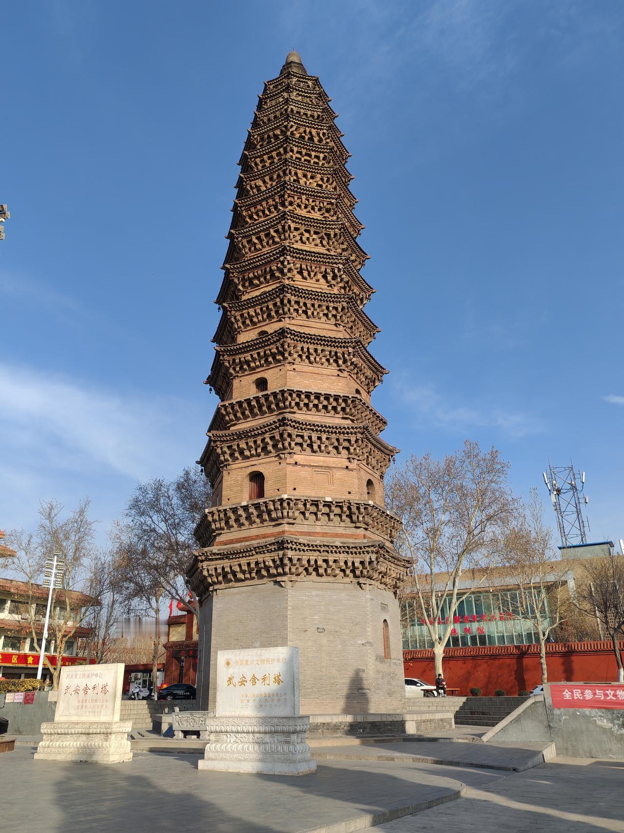 生存等于活着，而好好活着等于弱肉强食。你不信，当然是不对的，不要抬杠，看动物界