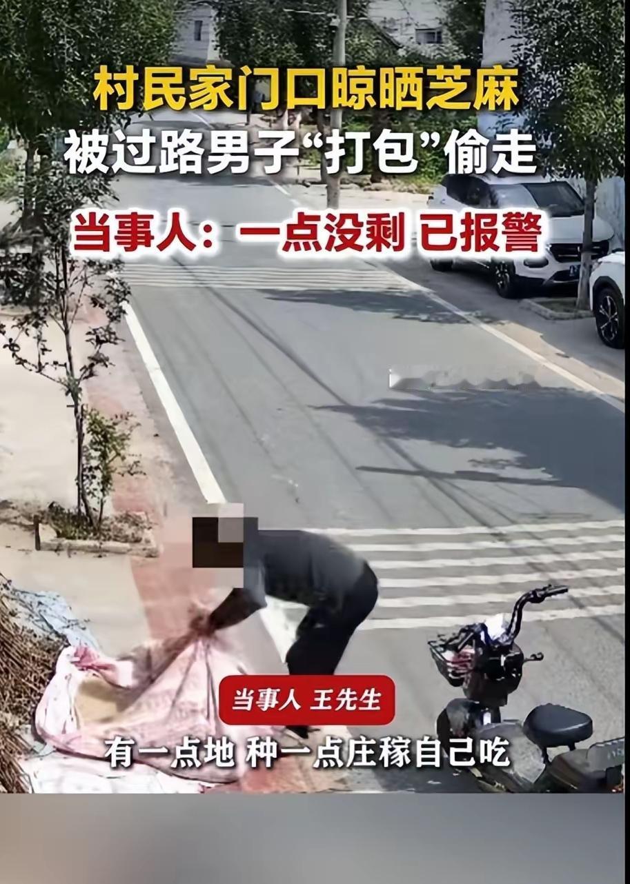 周口的一个大爷将自己辛辛苦苦种地，收上来的几十斤芝麻籽，放在家门口晒一下太阳，准