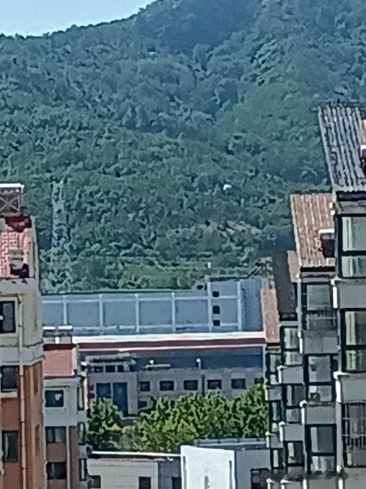 刚出去走了一圈感觉不对劲，马上就回来了，威海今天30度高温。刚出去还行，一会功