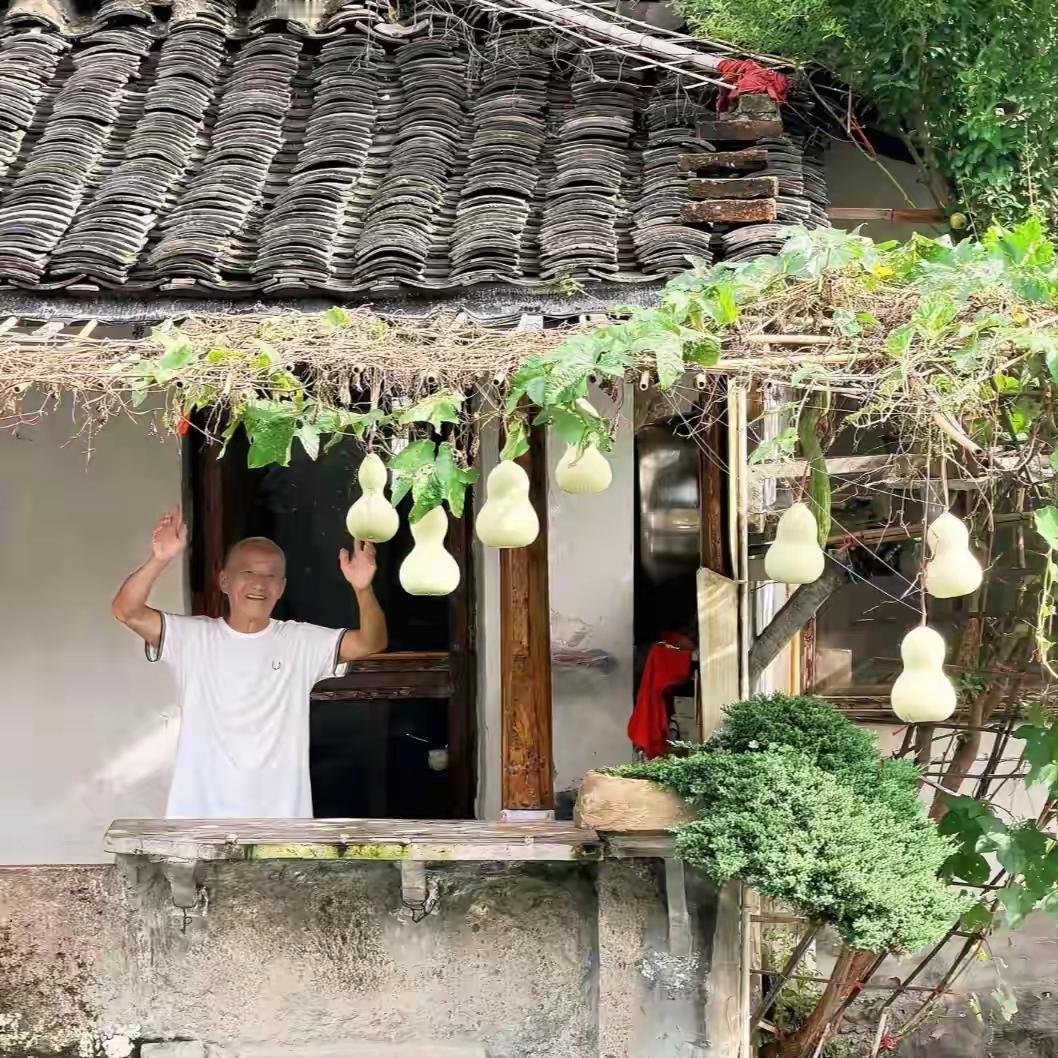 葫芦落幕，温暖不散！绍兴网红葫芦娃爷爷忍痛摘瓜，背后故事太好哭绍兴书圣故里的童话，悄然落幕。75岁的