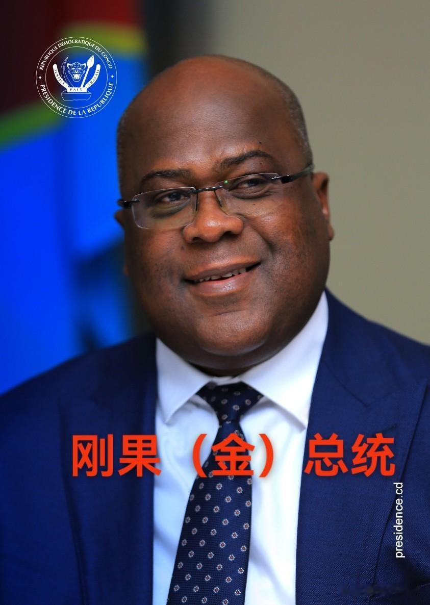 中国国内头部矿企（紫金、洛钼、华刚矿业、中国有色等）累计在刚果（金）投资1000