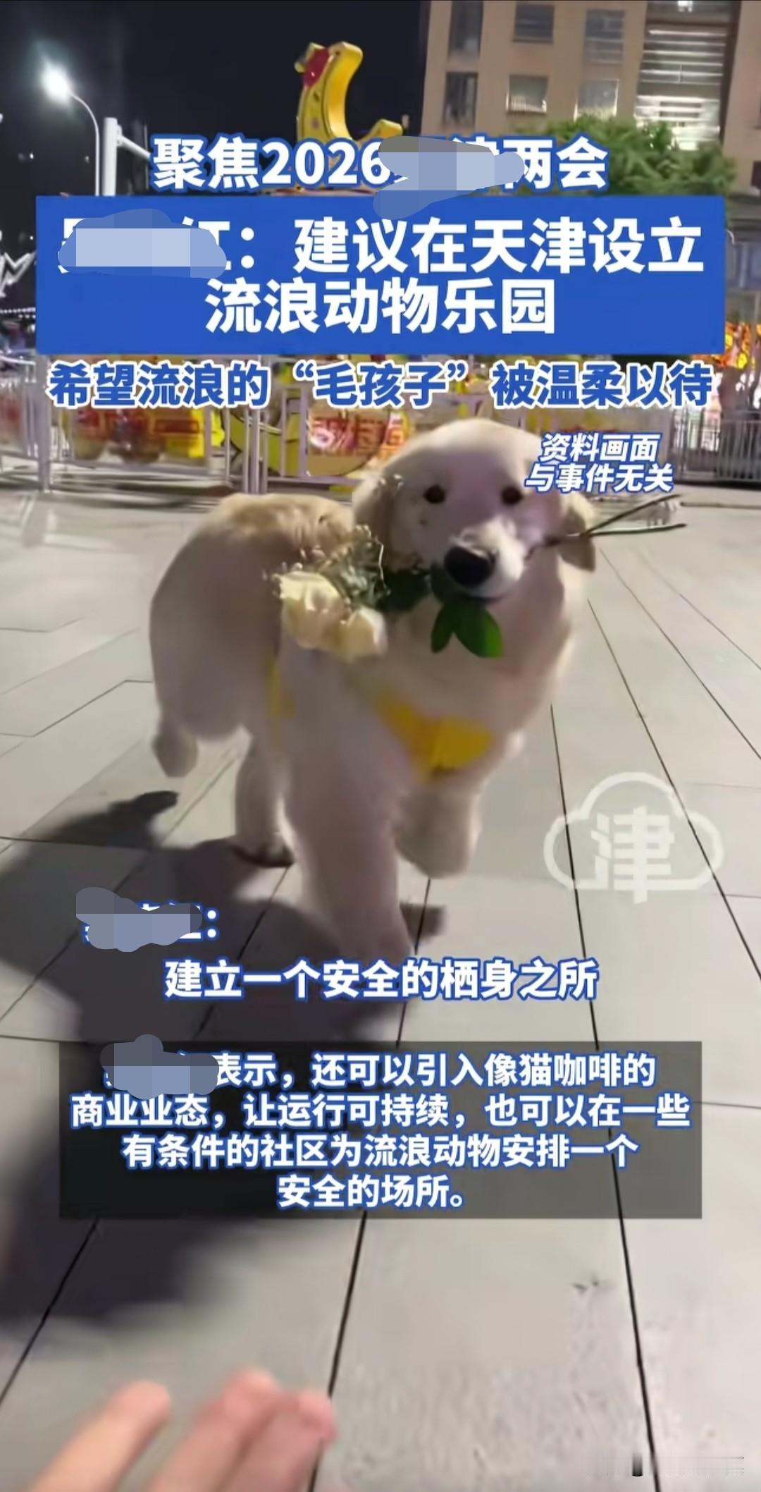 此时无声胜有声！