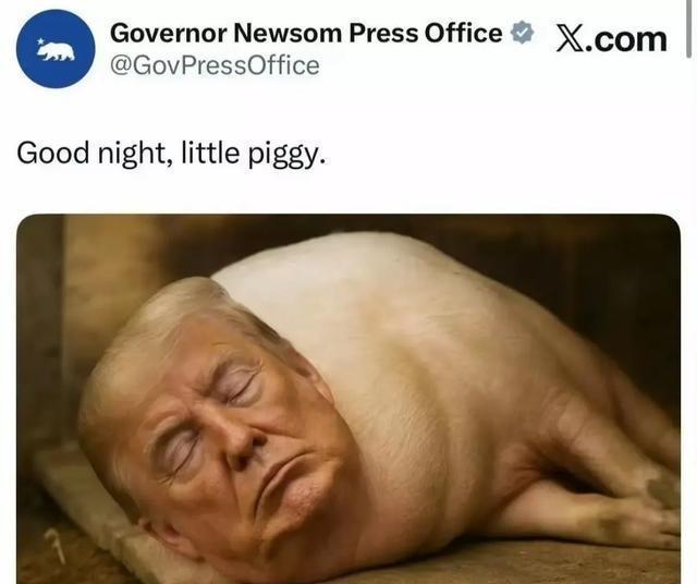加州州长纽森在社交平台X上发了张图，把特朗普的照片P成了一头猪。这种赤裸裸的人身
