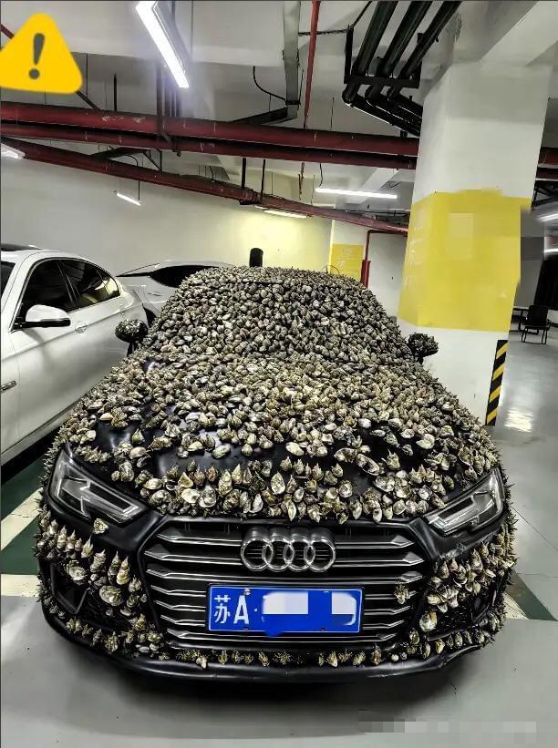 “一分钱不要，也得让你长记性！”业主车位被霸占10天，一怒之下做了这种事事情