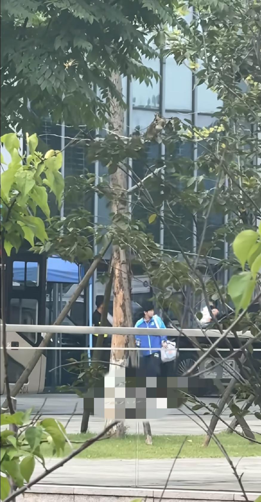 长沙全锦赛赛前路透！一大早球迷就蹲守场外，早早等到孙颖莎出发训练。今日10:4