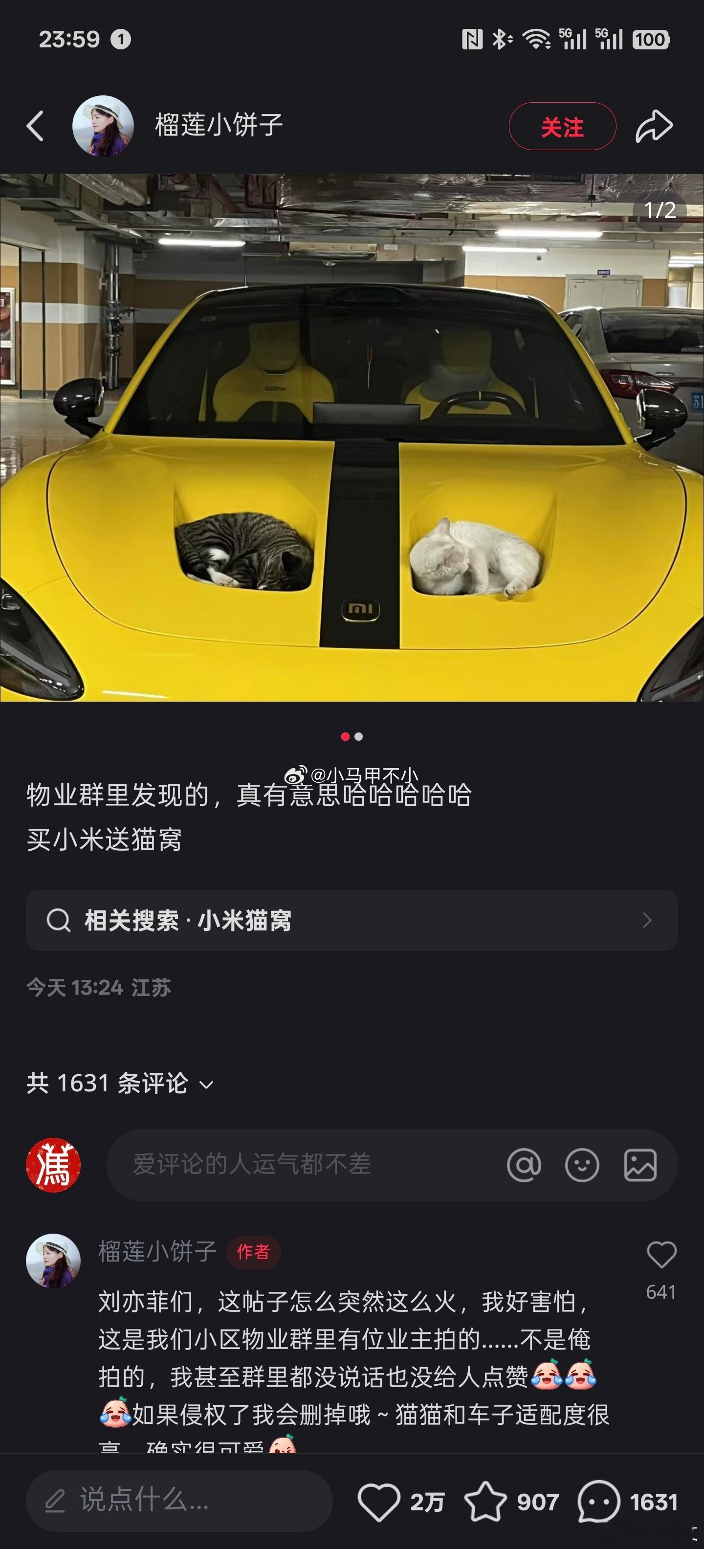 早上好，小猫咪，暖心的一幕😘😘😘汽场全开小米yu7小米s