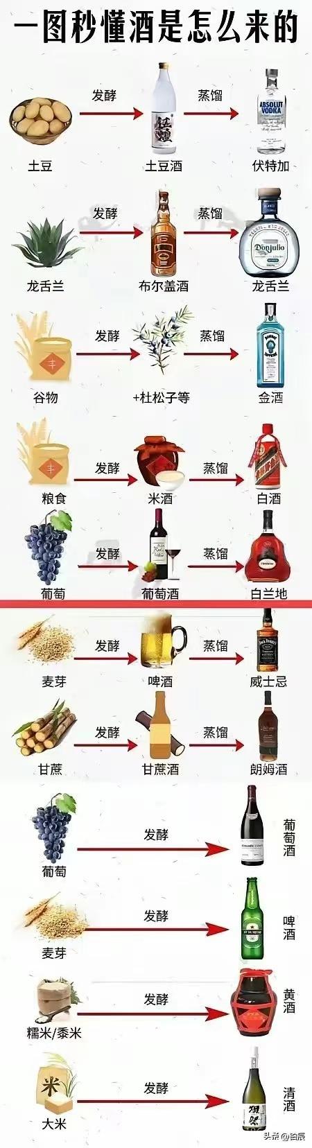 一图秒懂酒是怎么来的​