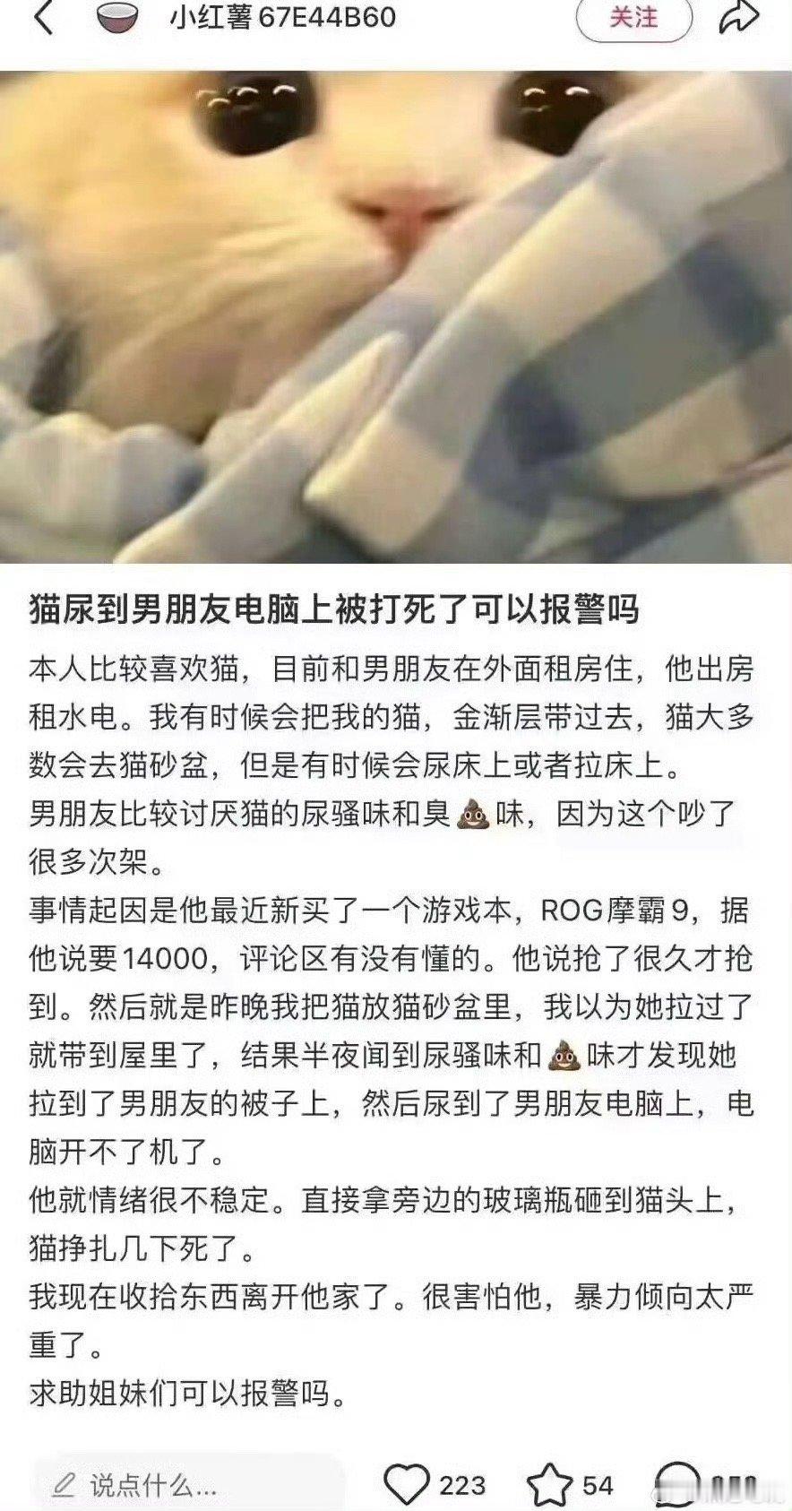 报警干什么？是准备赔偿它的电脑还是让他赔你的猫命​​​