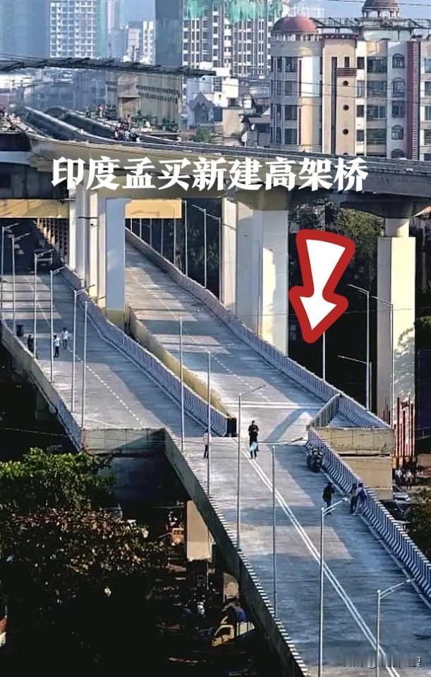 一个社会之所以伟大，是因为前人们会种下他们明知自己永远无法乘凉享受的树木。一