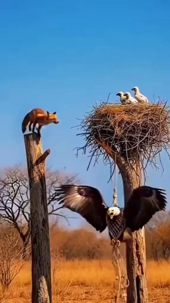 啊，啊，啊，啊，啊，啊，啊，啊，啊，啊，啊，啊，啊，啊，啊，啊。