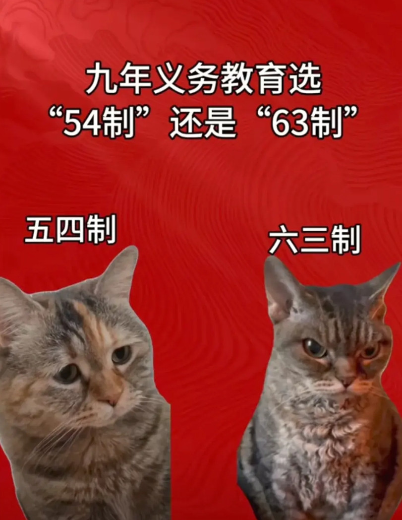 以前，我一直觉得九年义务教育应该是63制，就是6年小学，3年初中。今年，我才知道