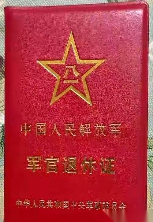 一个刚退休的团政委，跟几个老哥们儿约好了去法国潇洒一圈。大家伙儿护照都办下来了