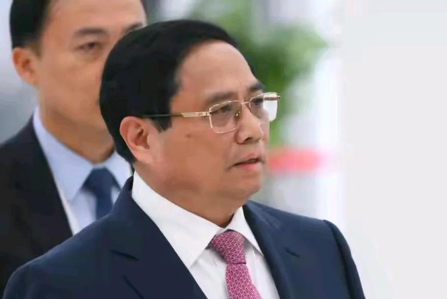 经过与美国的多轮谈判，越南商品成功避开了46%的对等关税。其代价是先行开放越南进