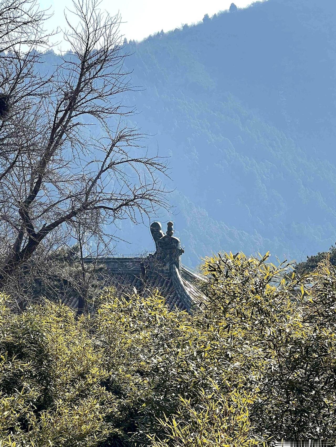 刚听到一个消息，我心里一下子就有点酸：朋友2022年3月退休，职业年金今天终于到