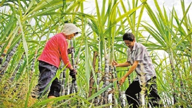 7338053141545200232.jpg?id=0