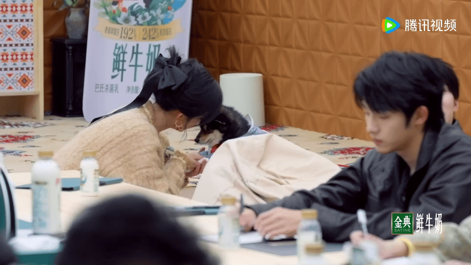 周翊然的小狗俘获了孟子义家人们谁懂！小法小茅啥也没干，光靠呼吸就把孟子义迷得不