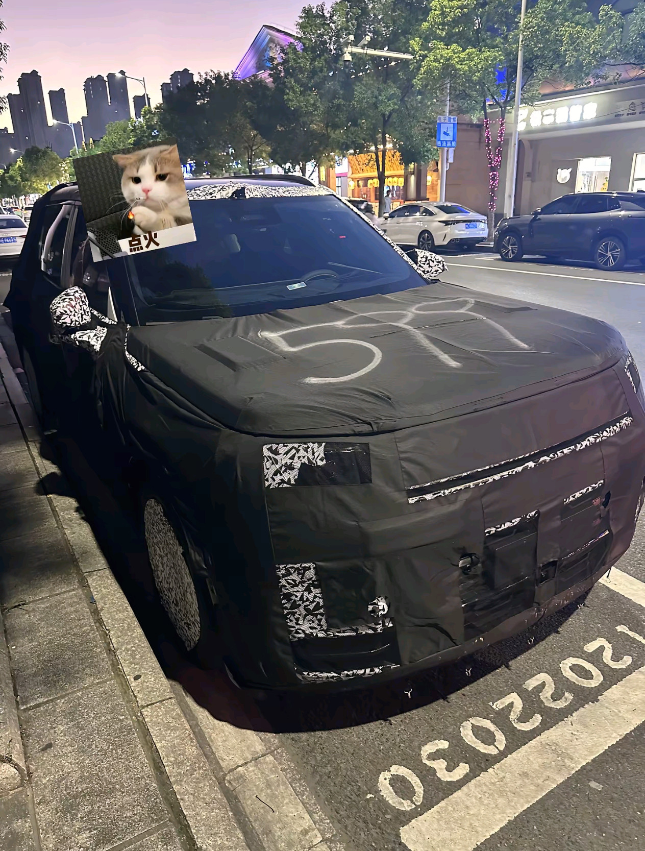 向宽9系焕新路试车单独发下，车头明显有改动，跟此前的情报对上了[doge]新能源