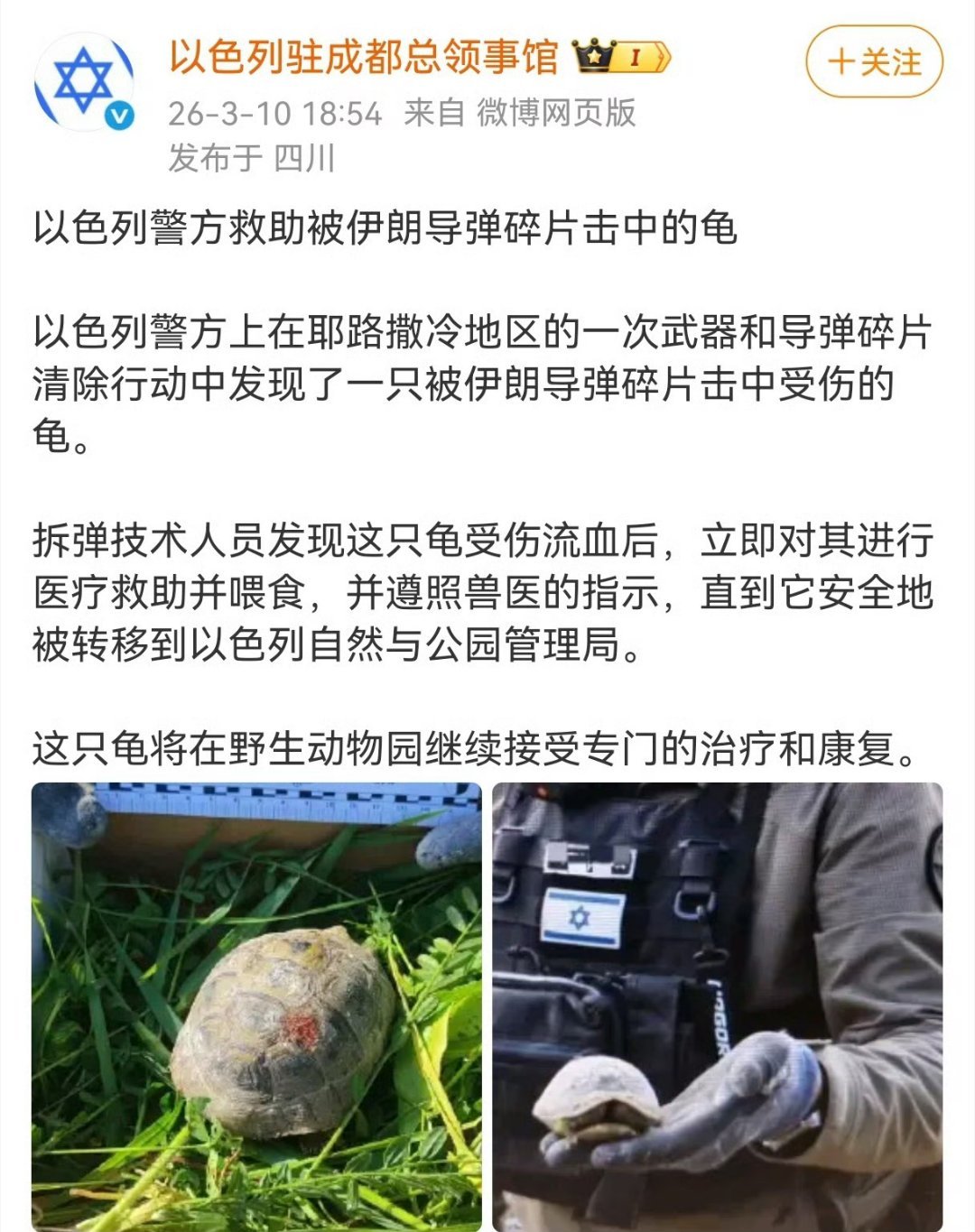 我说美国救猫救狗和谁学的呢