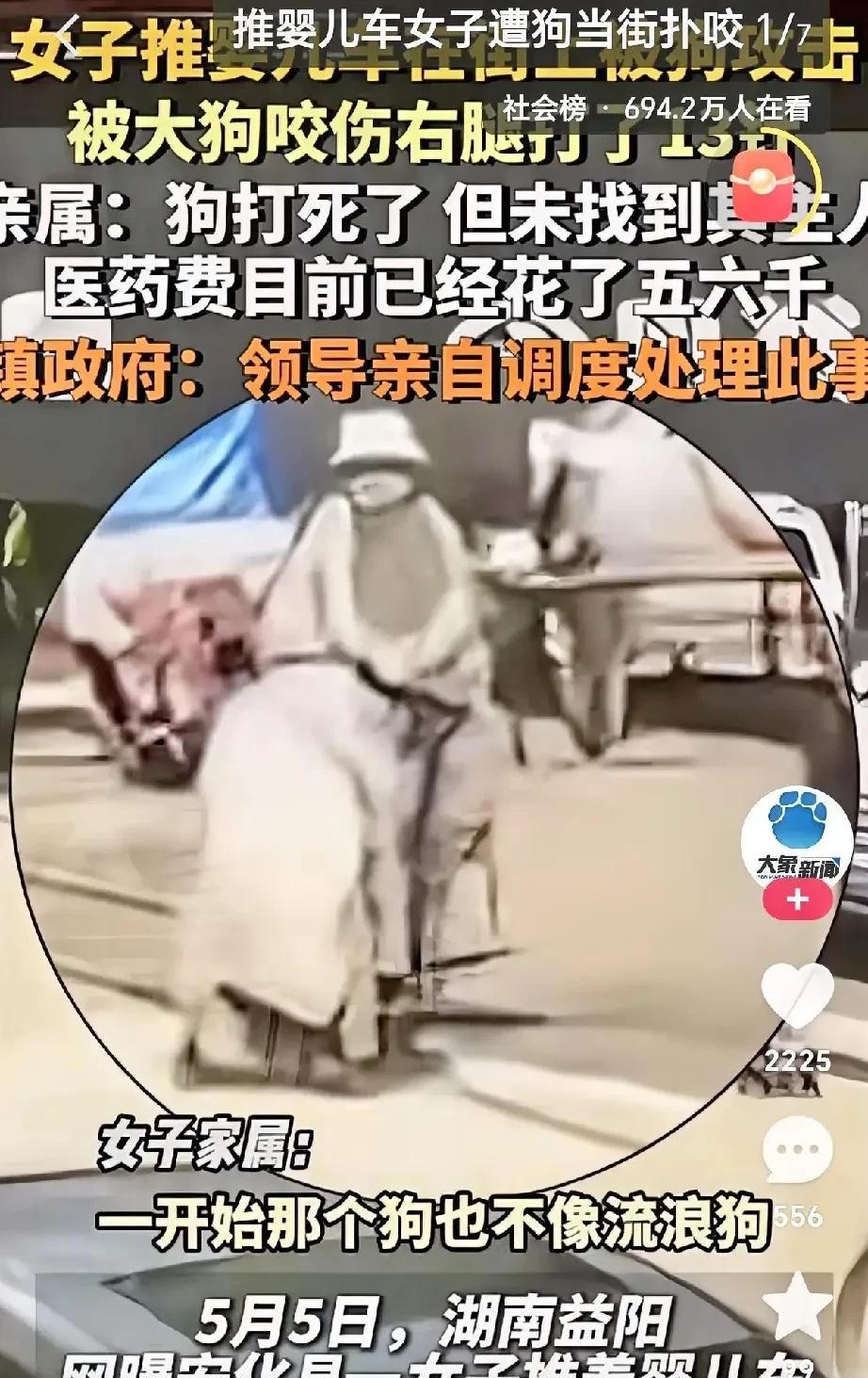 5月5日，湖南益阳安化，一名推婴儿车的女子在街上被大型犬攻击，右腿受伤，已打13