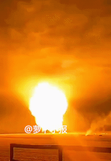 中国烟花又搞事情这款烟花被命名为“广岛之恋”网友：难道长崎就不配拥有一款以自