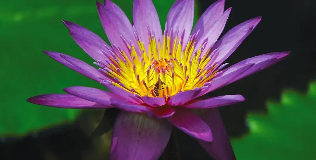 水瓶座3月22日要逆天改命的文章刷屏。我查了日历，3月22压根不是水瓶座，是