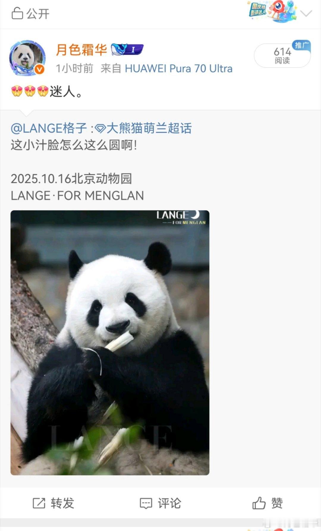 我的爱好就是大体格子，又美丽又聪明，还心地善良，很照顾小动物。​​​