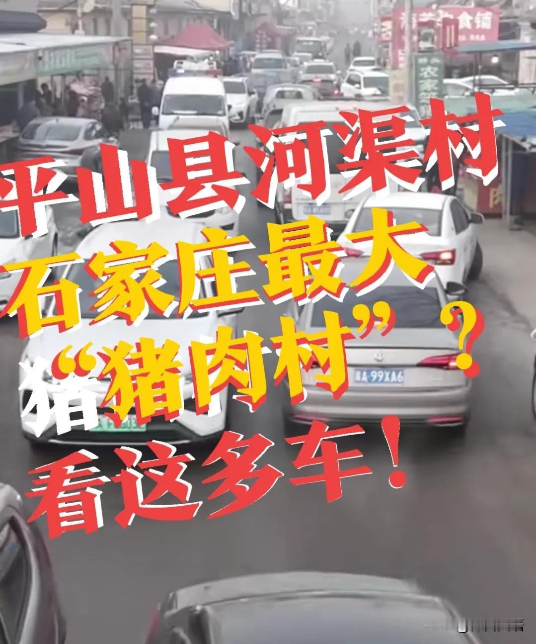【石家庄最大的“猪肉村”】河北省石家庄市，平山县河渠村，每年一进腊月，为什么就会