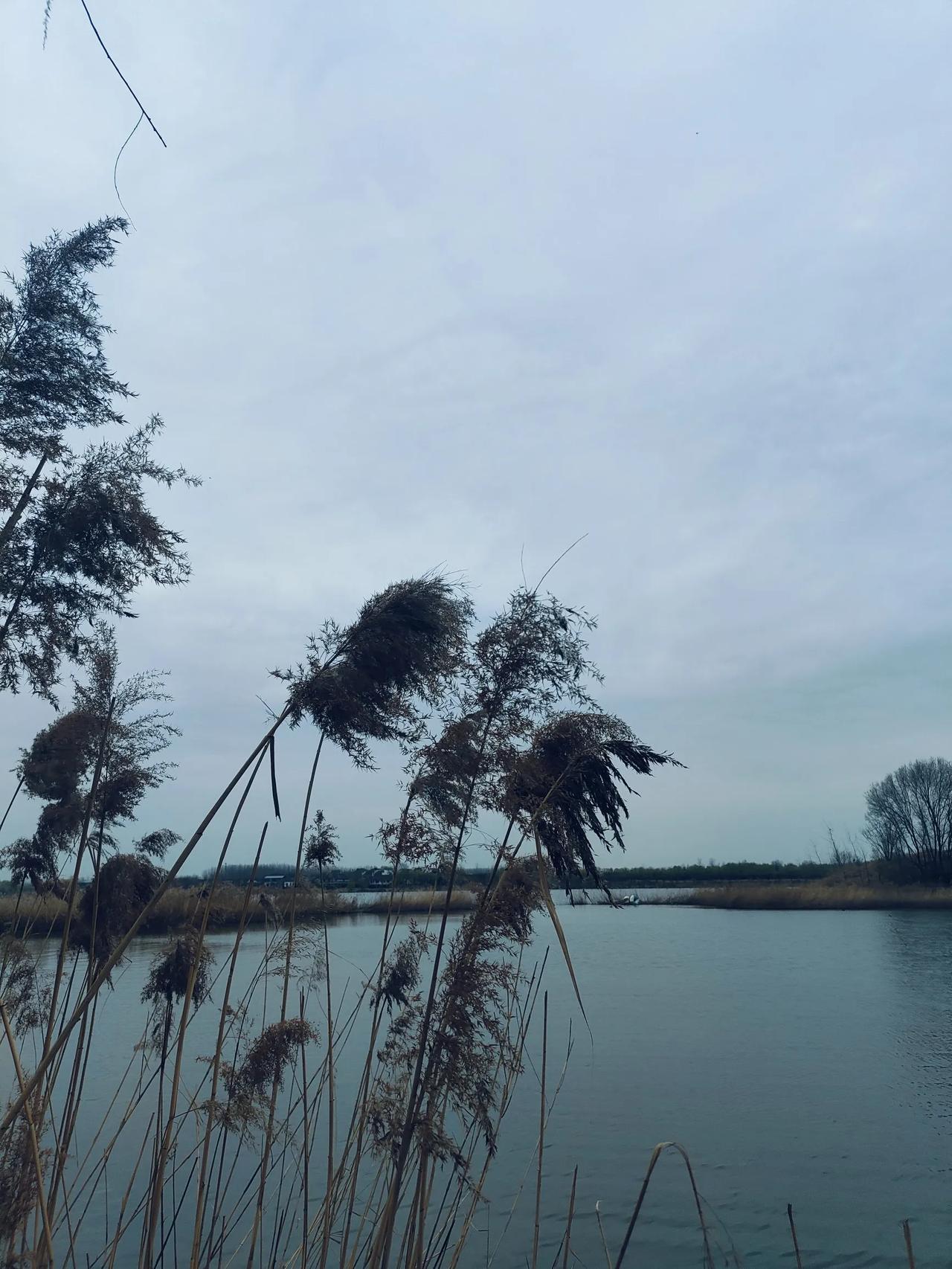 取消课后延时服务，双职工家庭是最大的阻碍。当年课后延时服务之所以落地，其实就是