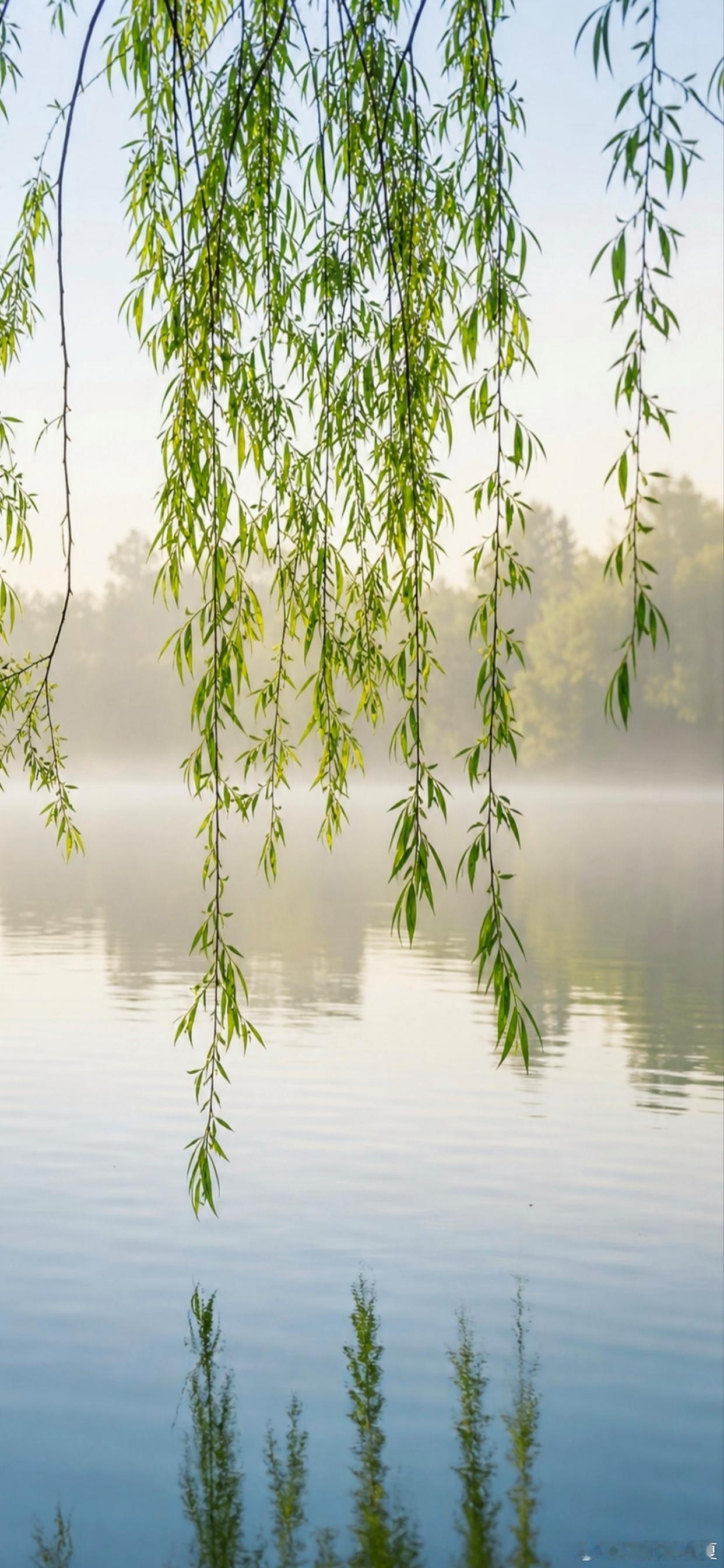 绿荫绕碧水，幽径隐层林～