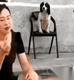 “石头、剪刀、布！一把五十！”话音刚落，女人的拳头还没完全收回去，男人摊开的手