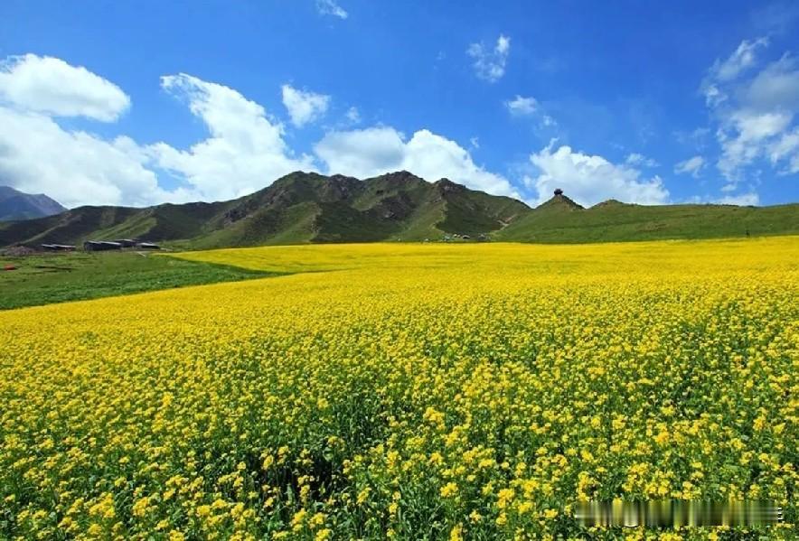 突然死去，我认为是人的福分，不遭罪，不再体会人间冷暖，不再卑微的活着，后什么悔啊