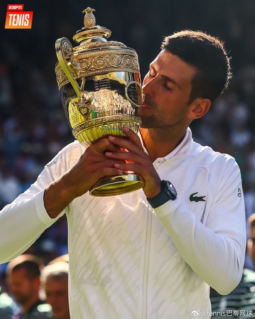 来自espntennis：🇷🇸德约科维奇若拿下温网冠军，有望打破的纪录