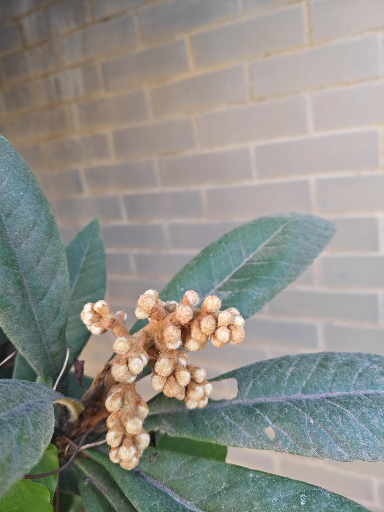 父母要想儿子过得好，那就要对媳妇好一点，媳妇开心了儿子的日子才会越过越好。我