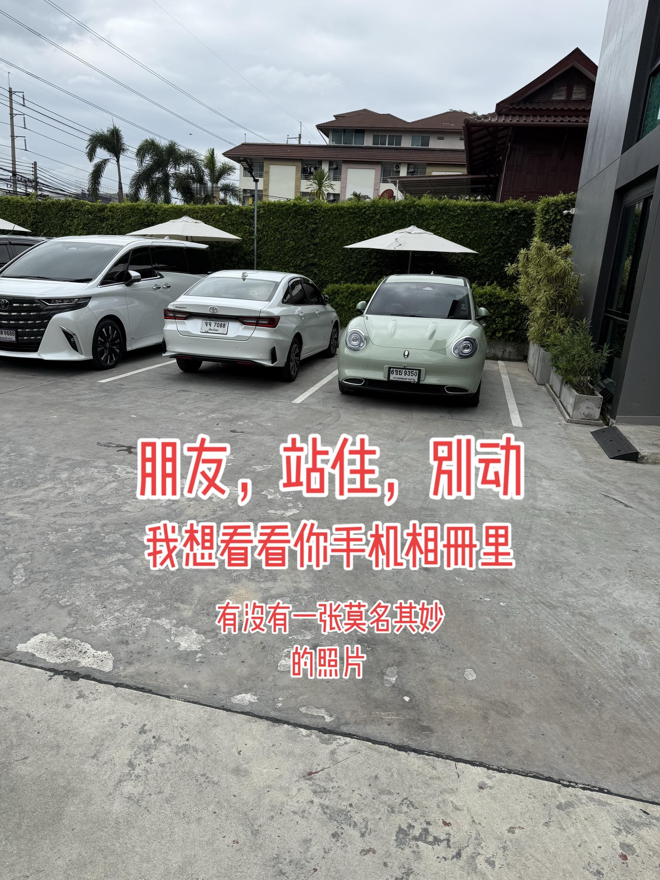 莫名其妙人类迷惑行为<i...