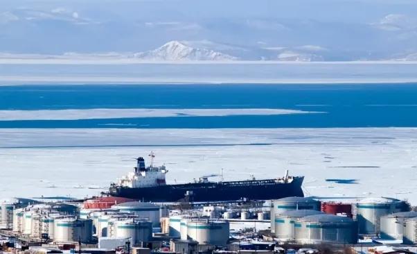 国家有高人，外媒亲口承认了。3月9日彭博社爆料，美国能源研究员认为，作为全球最大