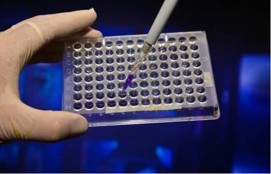 比光刻机断供还严重？！日本这招真要下狠手，中芯、长存可能“断供”！国产芯片最后的