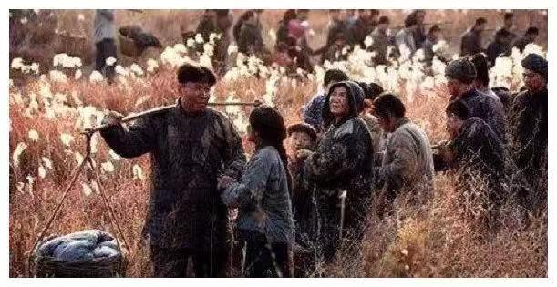 如果战争爆发，躲到山里到底安全不安全呢？一般来说，逃进山里的人大约有七八成的生存