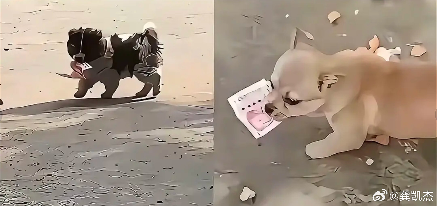 为什么网文中修仙界的老怪物，总是要抢夺小辈的机缘呢？如下图，当你现实中看到了这一