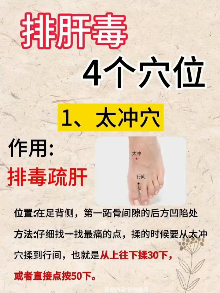 排肝毒4个穴位。·1、太冲穴。作用：排毒疏肝。位置：在足背侧，第一跖骨间隙的后