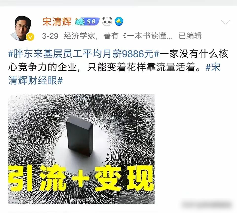 太解气了！经济学家宋清辉这回踢到铁板了！就因他一句“胖东来没核心竞争力靠流量活着