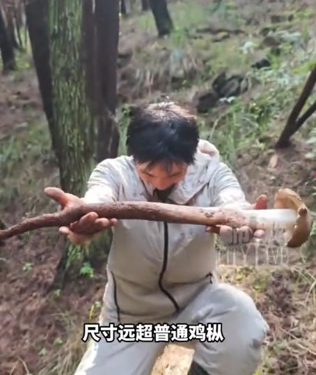 天降横财！7月7日都市现场报道，重庆一小伙上山转了一圈，竟然捡到了一根快有他小臂