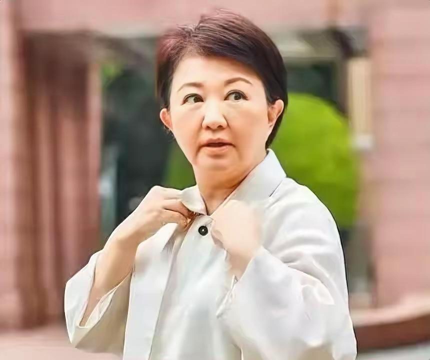综合台媒报道，台中市长卢秀燕9月13日公开呼吁，岛内“无党籍、民众党籍、国民党籍
