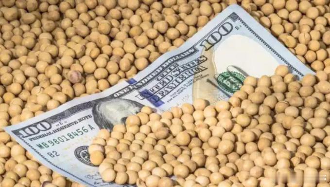 【中国一天下单79万吨美国大豆特朗普回应】中国大幅加快采购美国大豆，结束之前的